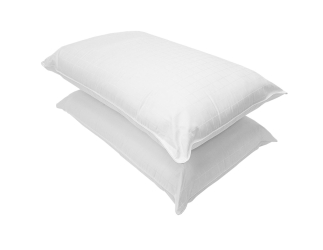 Sleepeezee Luxury Cotton Pillow (Pair)