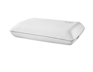 SleepSoul Dual Pillow